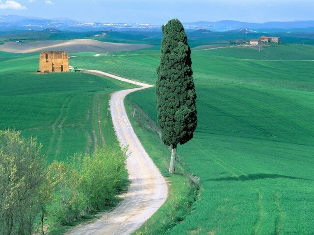 Country Road_ Tuscany_ Italy.jpg