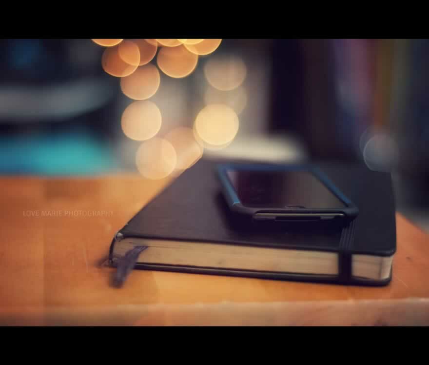 Nibh at pharetra magna 