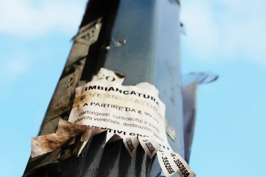 Nibh at pharetra magna 