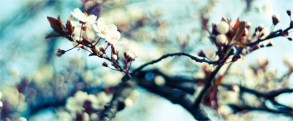 Breaking bad illustrated